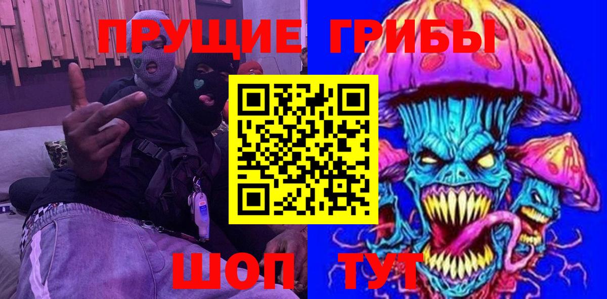 Ленинск-Кузнецкий  Галлюциногенные грибы Psilocybine cubensis  Вход с VPN 