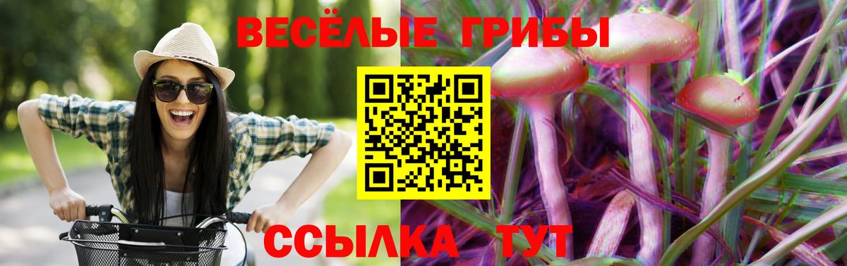 Псилоцибиновые грибы ЛСД Ленинск-Кузнецкий